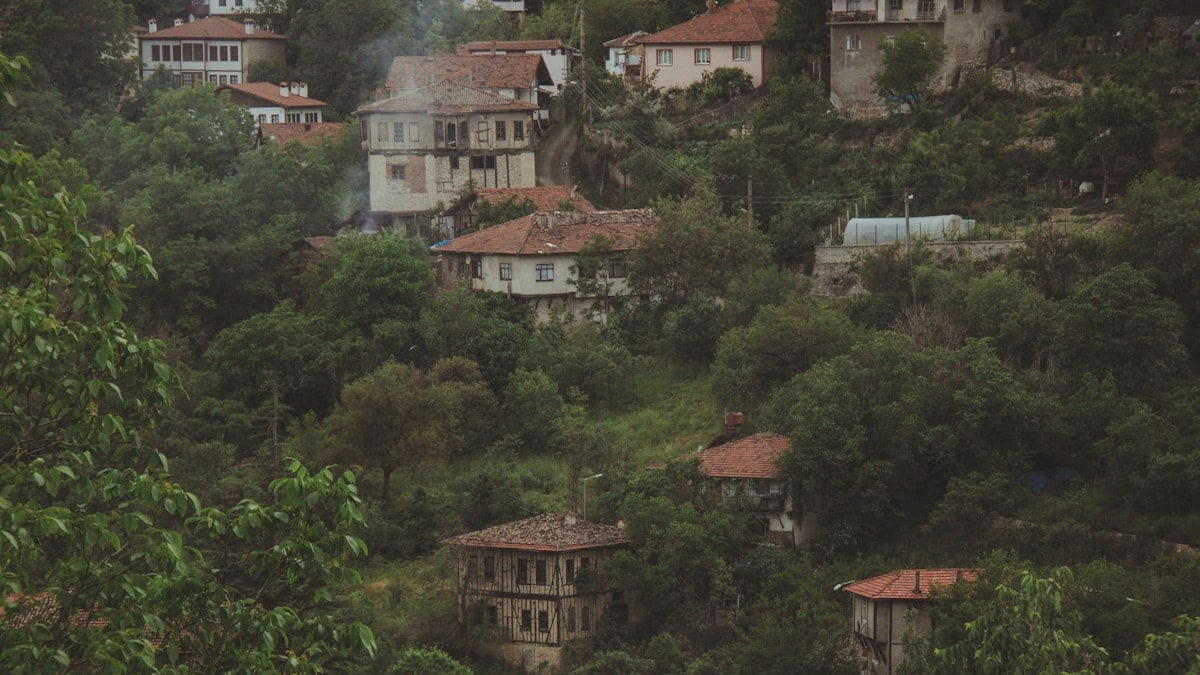 Traditional houses hidden within lush green foliage on a hill.